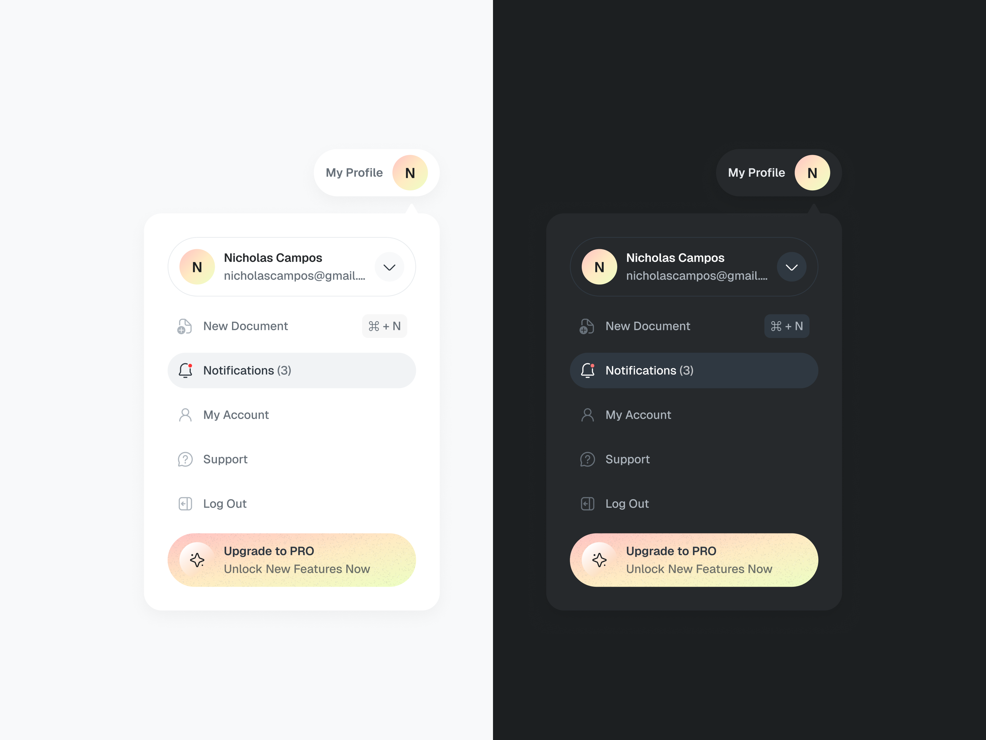 Dropdown Menu UI - Light & Dark Modes