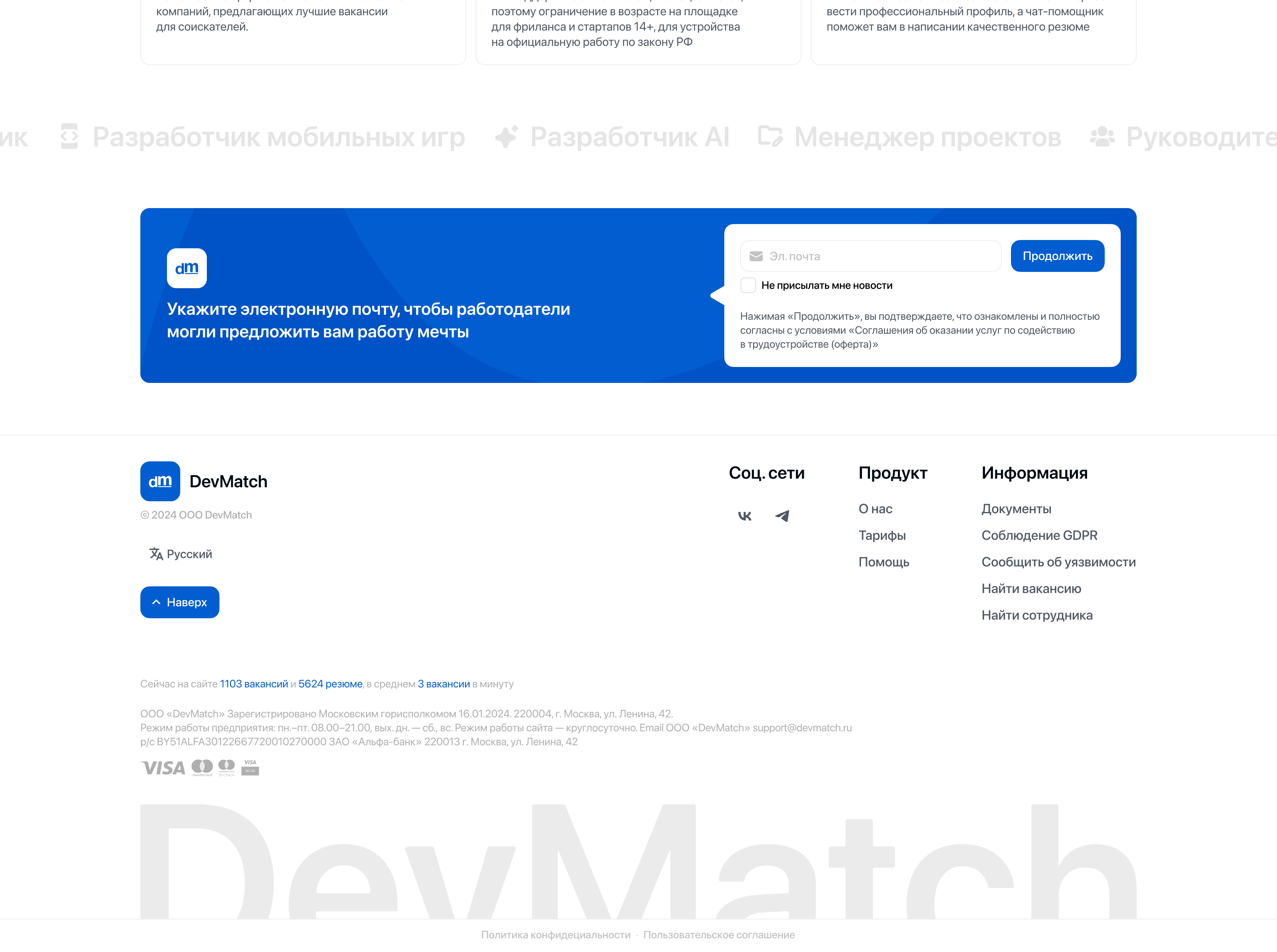 Landing footer - DevMatch