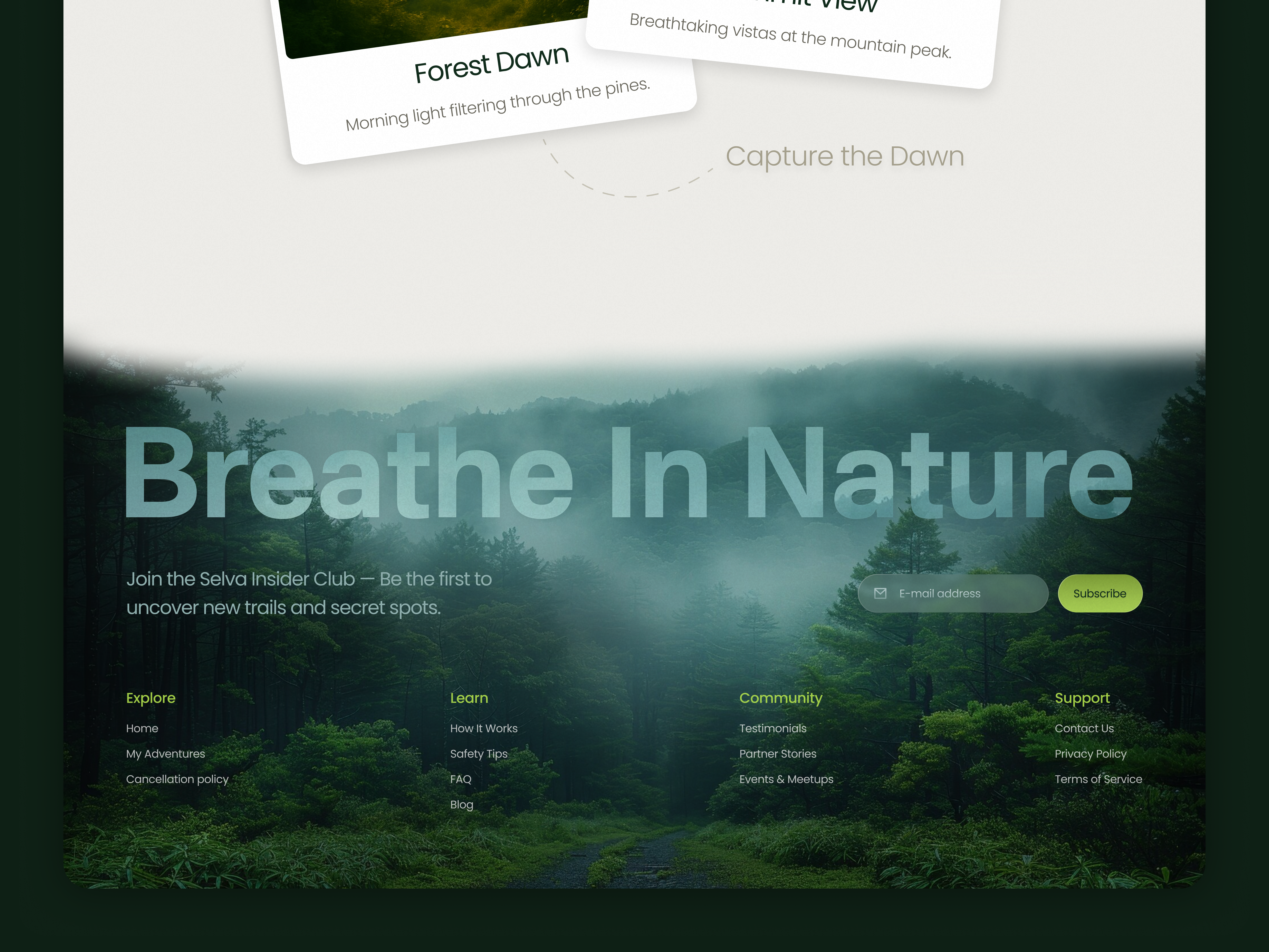 Selva footer design ✨